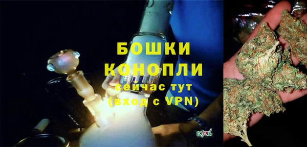 индика Заволжск