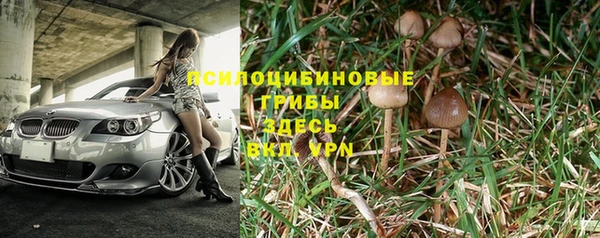 индика Заволжск