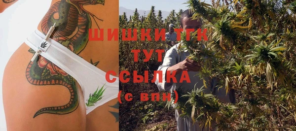 индика Заволжск