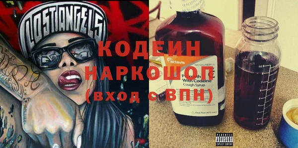 индика Заволжск