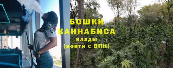 прущие крисы Заводоуковск