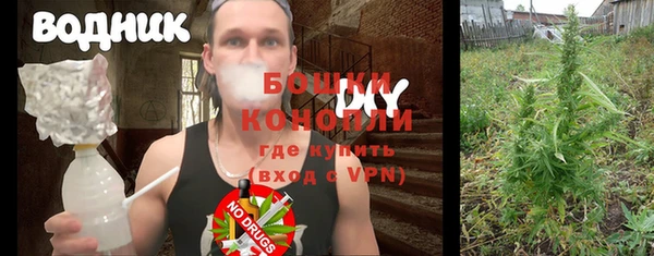 индика Заволжск