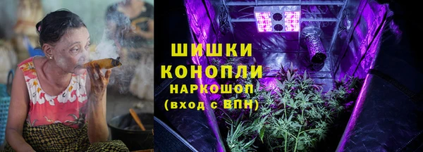 индика Заволжск