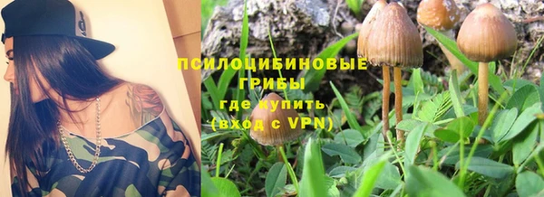 прущие крисы Заводоуковск