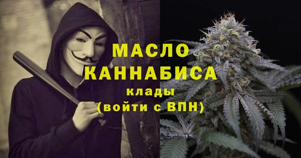 индика Заволжск