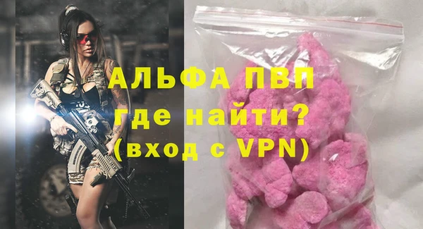 индика Заволжск