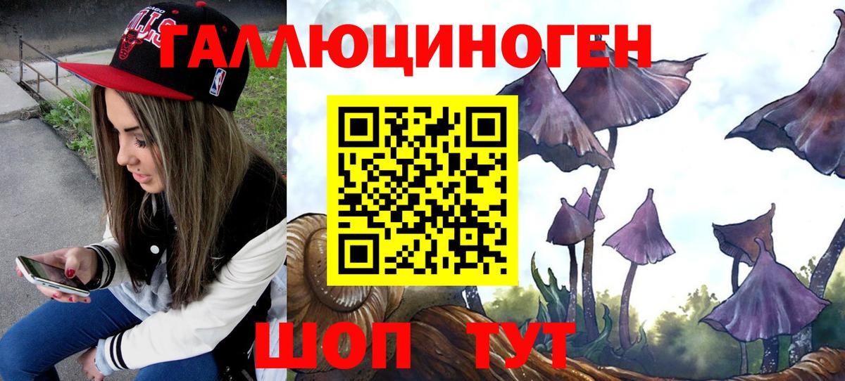 Дюртюли  Псилоцибиновые грибы GOLDEN TEACHER  Вход с VPN 